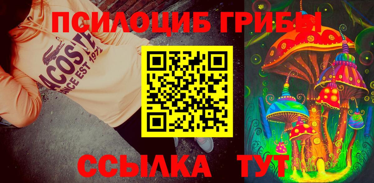 закладка  Псилоцибиновые грибы прущие грибы  Вход с VPN  Салехард 