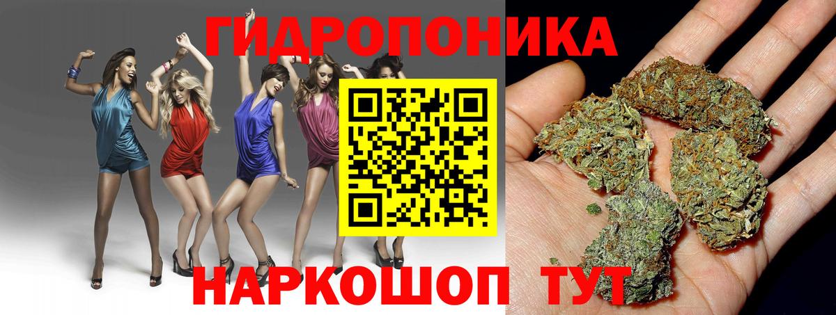 Бошки Шишки THC 21%  Каннабис план  Салехард  Конопля конопля  Вход с VPN 